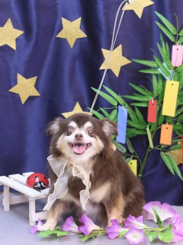 20230730ちゃこちゃん